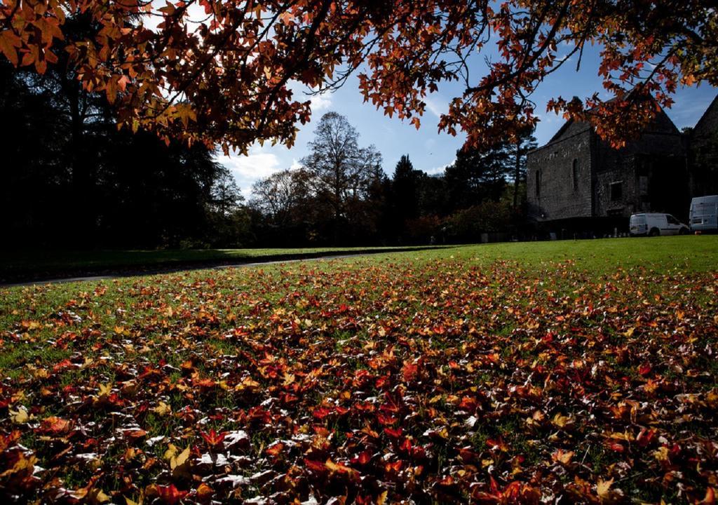 Dartington Hall Totnes Kültér fotó